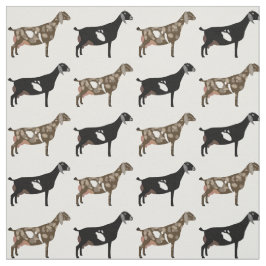 Tela Cabras lecheras nubias en blanco