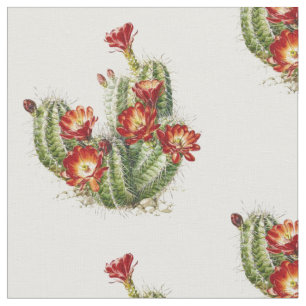 Tela Cactus Con Flores Rojas