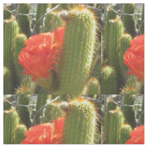 Tela Cactus de la Antorcha Roja
