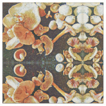 Caleidoscopio comestible de las setas