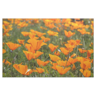 Tela Campo de la amapola de California