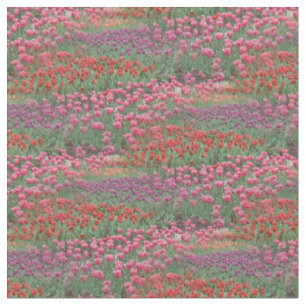 Tela Campo De Tulipanes