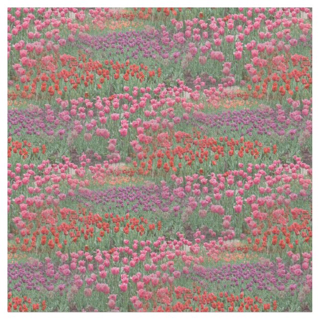 Tela Campo De Tulipanes (De cerca)