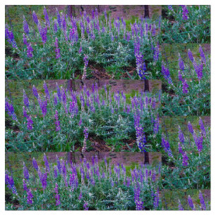 Tela Campos de Lupine