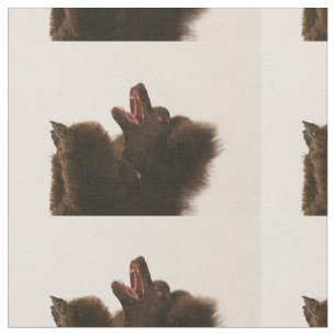 Tela caniche negro dancing.png