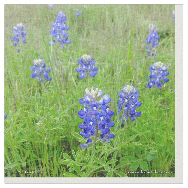 Tela - capos azules (De cerca)