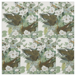 Tela Carolina Pigeon Audubon Morning Dove