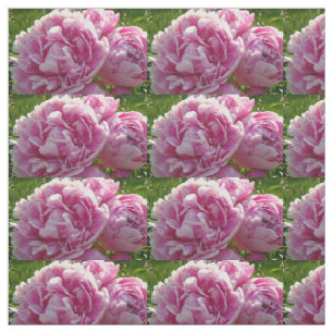 Tela Casa de campo de campo con flores de Pink Peony
