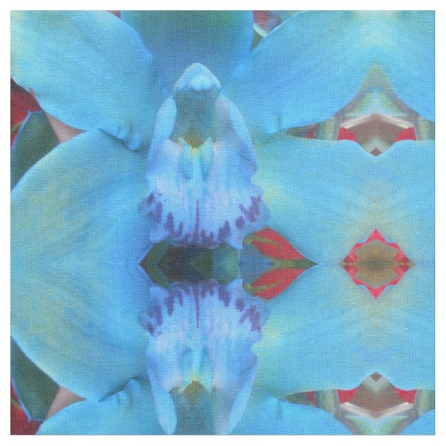 Tela Catelijón (De cerca)