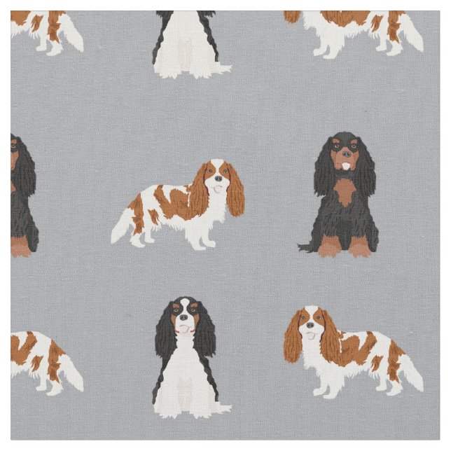 Tela cavalier kc spaniel perros grises (De cerca)