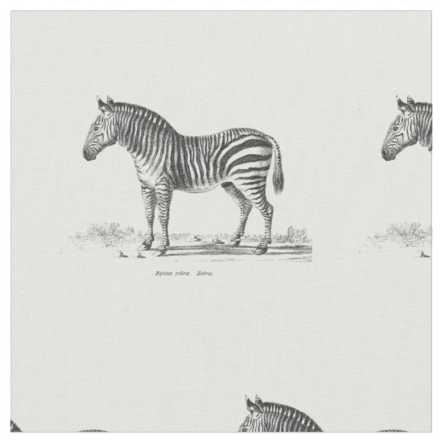 Tela Cebra del vintage (De cerca)