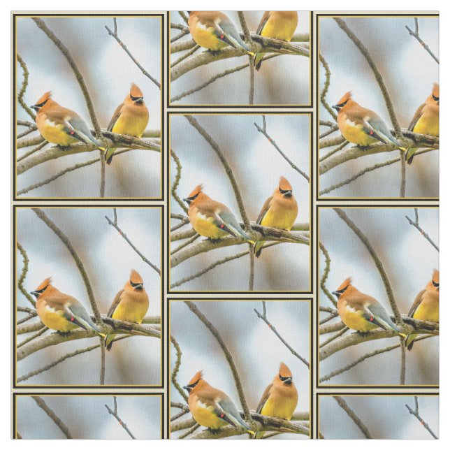 Tela Cedar Waxwing - Fotografía original (Retal)