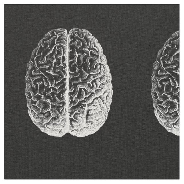 Tela ¡Cerebros! (De cerca)