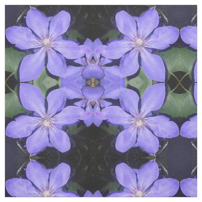 Tela Césarina (Retal)