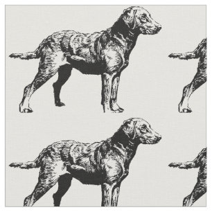 Tela Chesapeake_Bay_Retriever_drawing.png