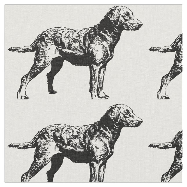Tela Chesapeake_Bay_Retriever_drawing.png (De cerca)