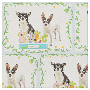 Tela Chihuahua de la primavera