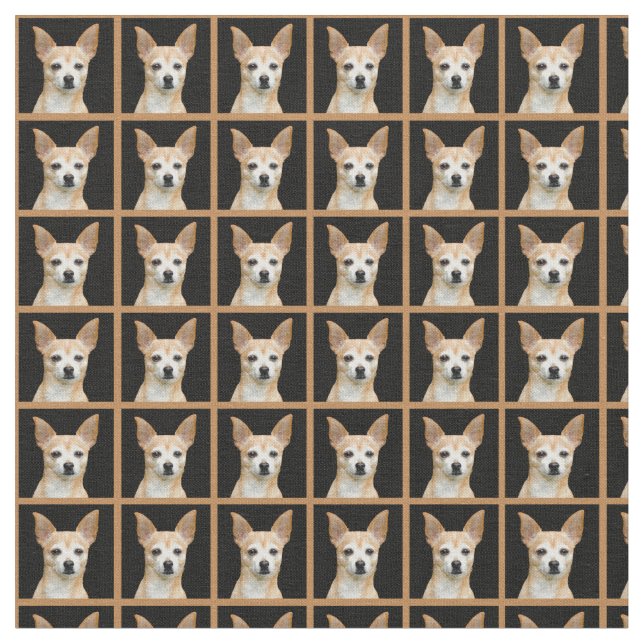 Tela Chihuahua pintada beige en fondo negro (De cerca)