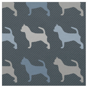 Tela Chihuahua - Smooth Coat