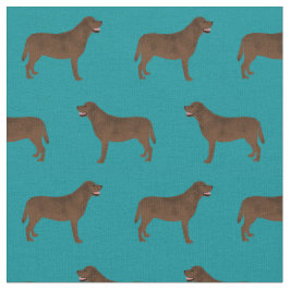 Tela Chocolate Labrador verde azulado