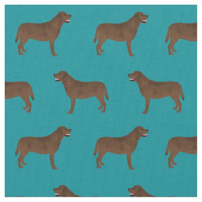 Tela Chocolate Labrador verde azulado (De cerca)