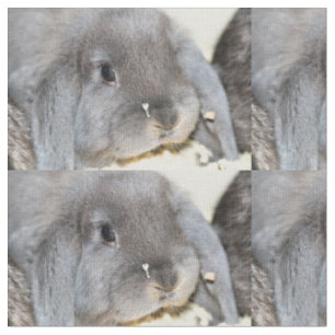 Tela Chubby Cheeks