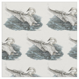 Tela Cisne blanco dibujado en agua por Kelli Swan