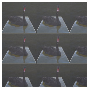 Tela Cisne Negro, Droplets En El Estanque,