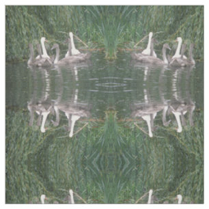 Tela Cisnes y Cygnets