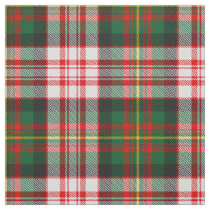 Tela Clan Carnegie Dress Tartan