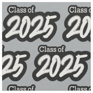 Tela Clase de pincel negrita gris plateado de 2025