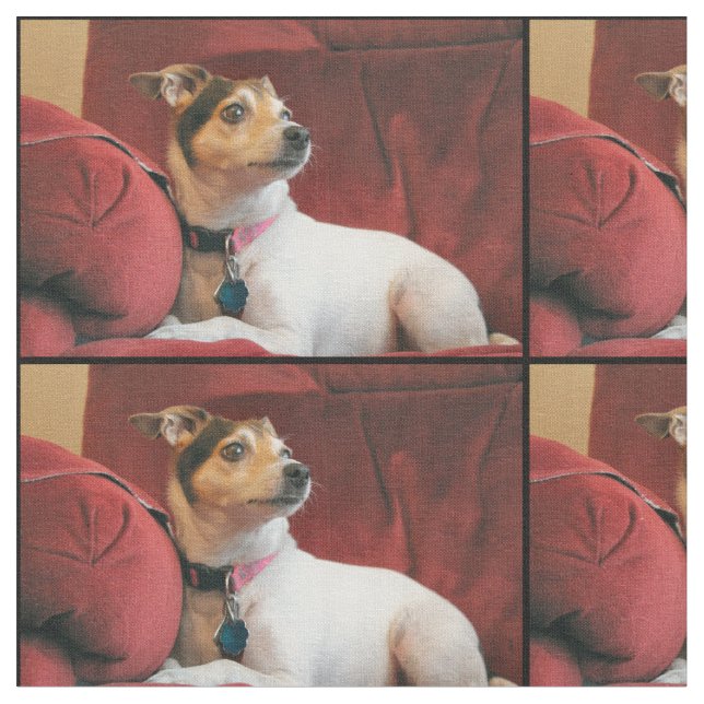 Tela Clásico (De cerca)