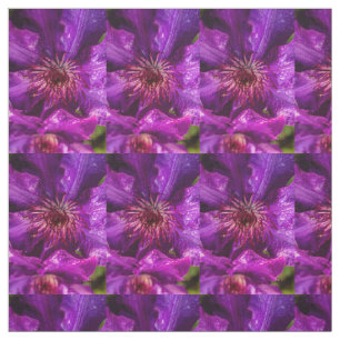 Tela Clematis El Presidente