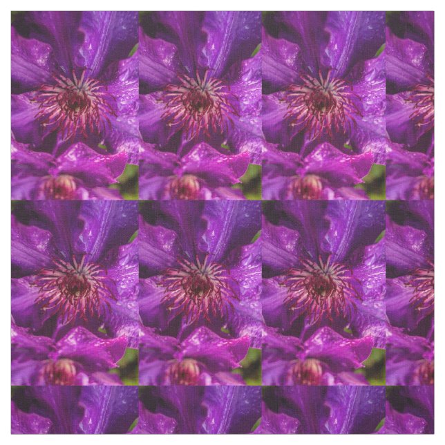 Tela Clematis El Presidente (Retal)