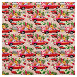 Tela Coche-coral del LM Corvair