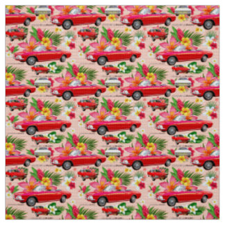 Tela Coche-coral del LM Corvair