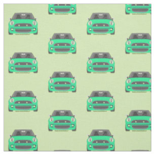 Tela Coches