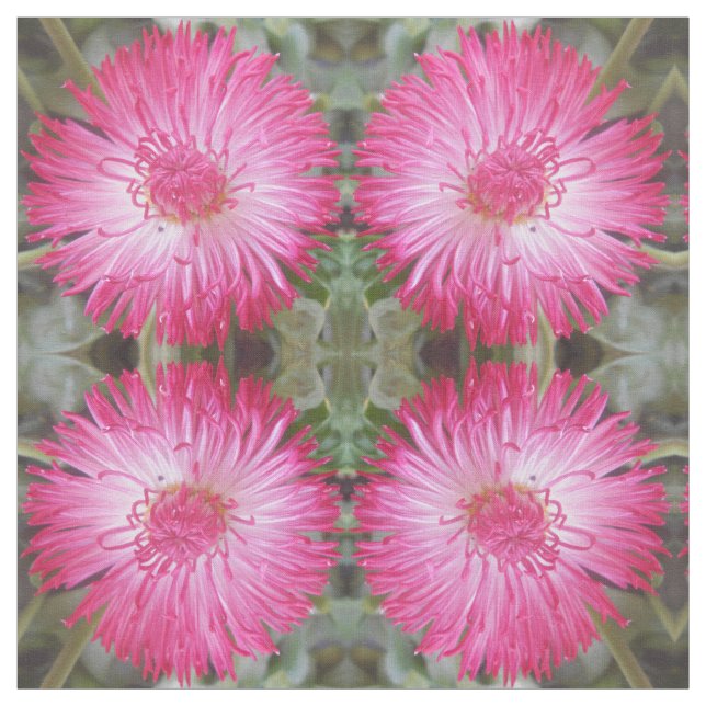 Tela Cognito (Retal)