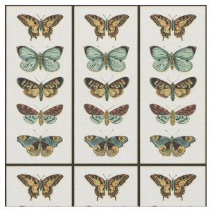 Tela Colección de la mariposa de Chariklia Zarris