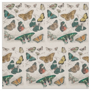 Tela Colección de mariposa Mariposas antiguas