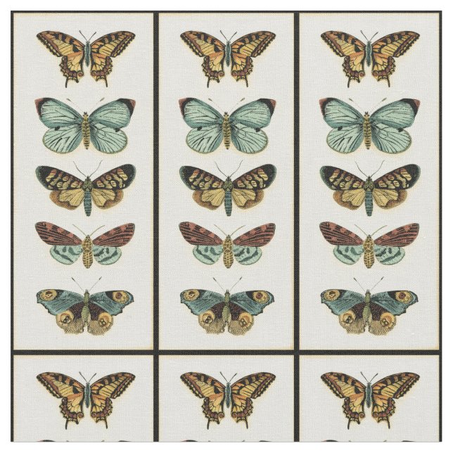 Tela Colección de mariposas por Chariklia Zarris (De cerca)