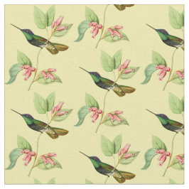 Tela Colibrí magnífico del vintage