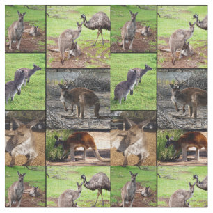 Tela Collage de fotos canguro,