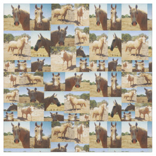 Tela Collage de fotos de Caballos de Palomino,