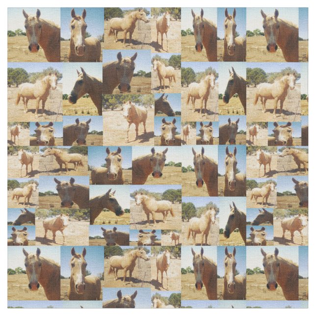 Tela Collage de fotos de Caballos de Palomino, (De cerca)