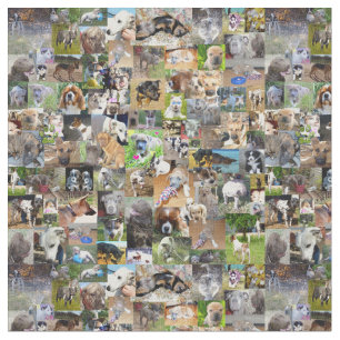 Tela Collage de fotos de perro,