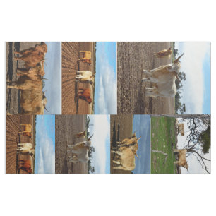 Tela Collage de fotos de vacas de la región montañosa