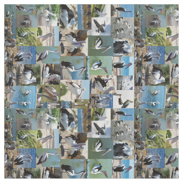 Tela Collage de fotos Pelican, (De cerca)