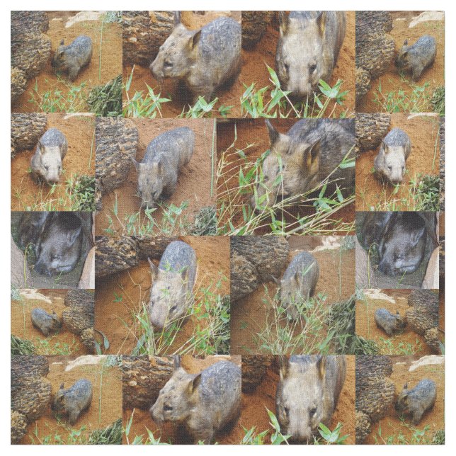 Tela Collage de fotos Wombat, (De cerca)