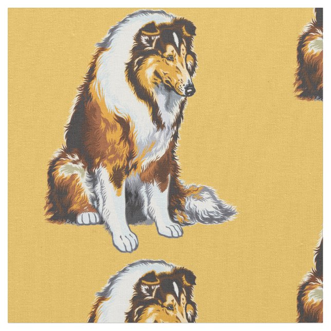 Tela collie (De cerca)